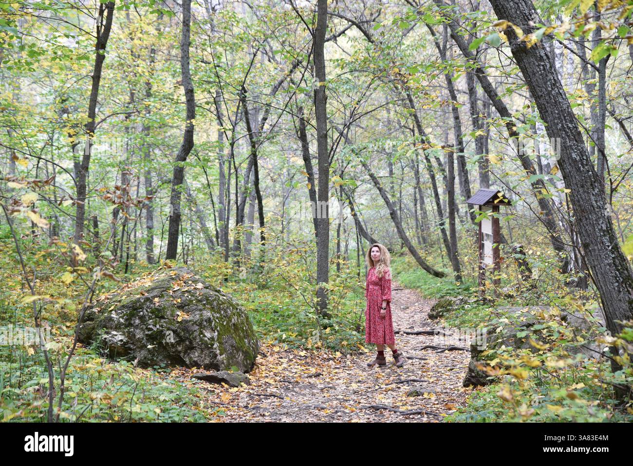 Frau in rotem Kleid, die durch einen Wald geht Stockfoto