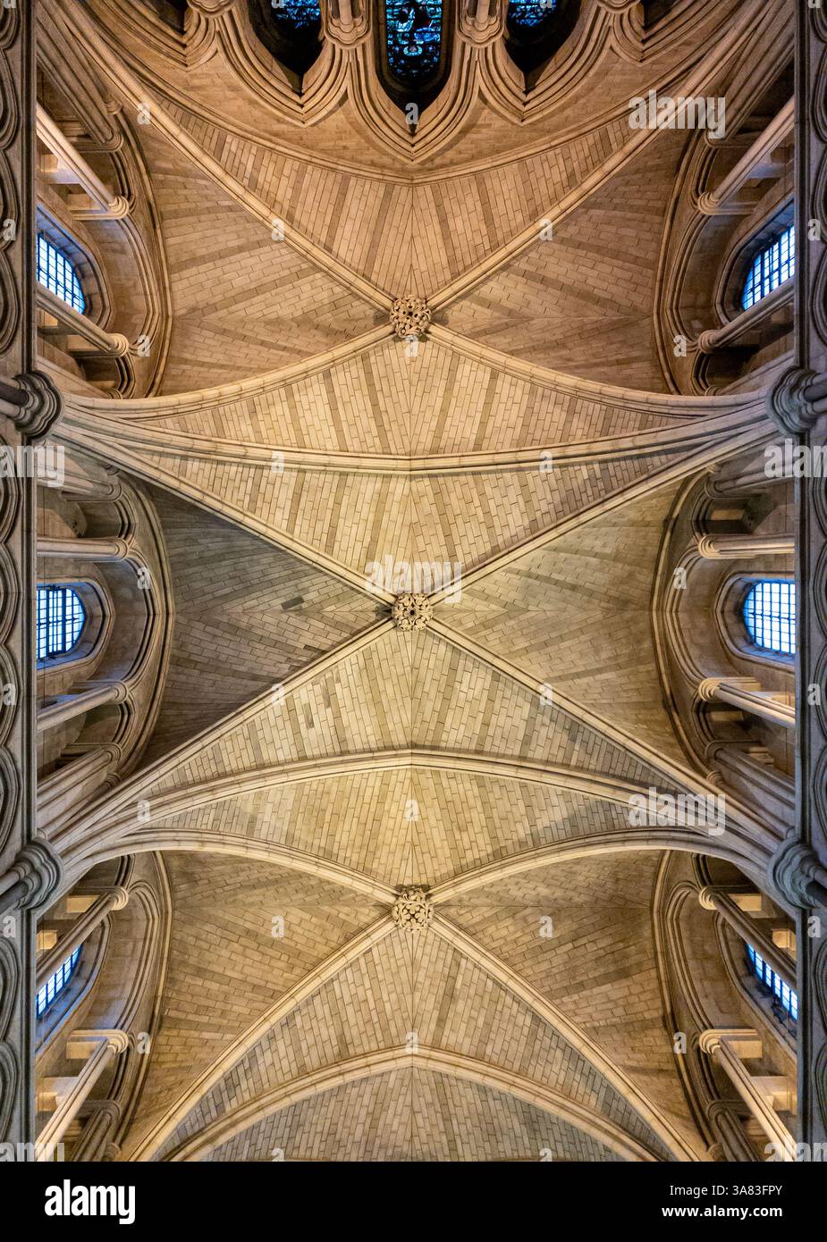 Rippengewölbe Decke, Southwark Cathedral. London. UK Stockfoto