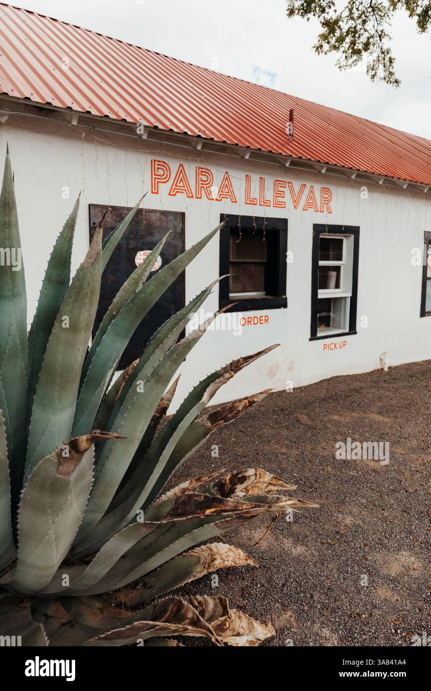 Para-Llevar-Fenster zum Mitnehmen mit einer riesigen Agavenpflanze in Marfa, Texas. Stockfoto