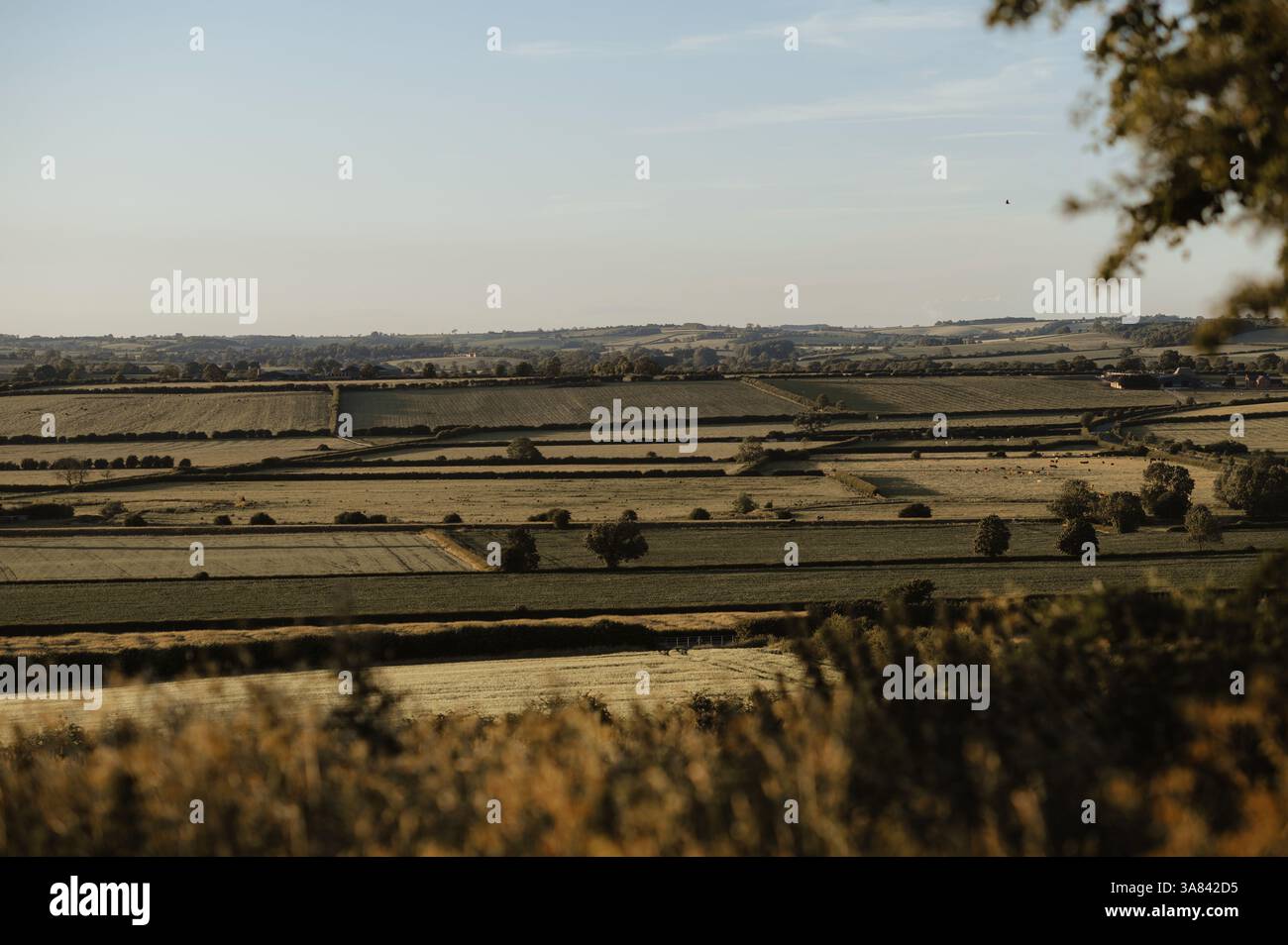 Grüne Felder und blauer Himmel vom Hügel. Stockfoto