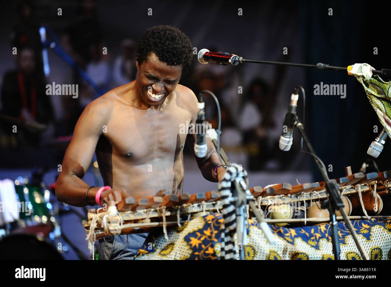31. März 2013 – Penang, Malaysia – Kimi DjabatÅ½, bissau-guineischer Afro-Beat/Blues-Musiker, tritt am 2. Tag des Penang World Music Festivals 2013 im Penang Botanic Gardens im Steinbruchpark auf. (Bild: © Robertus Pudyanto/ZUMAPRESS.com) Stockfoto