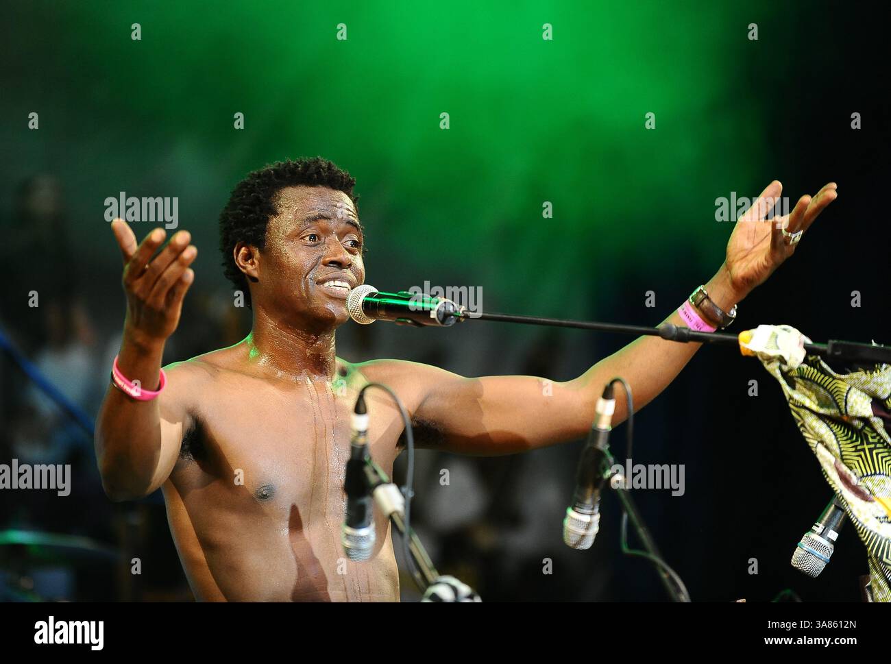 31. März 2013 – Penang, Malaysia – Kimi DjabatÅ½, bissau-guineischer Afro-Beat/Blues-Musiker, tritt am 2. Tag des Penang World Music Festivals 2013 im Penang Botanic Gardens im Steinbruchpark auf. (Bild: © Robertus Pudyanto/ZUMAPRESS.com) Stockfoto