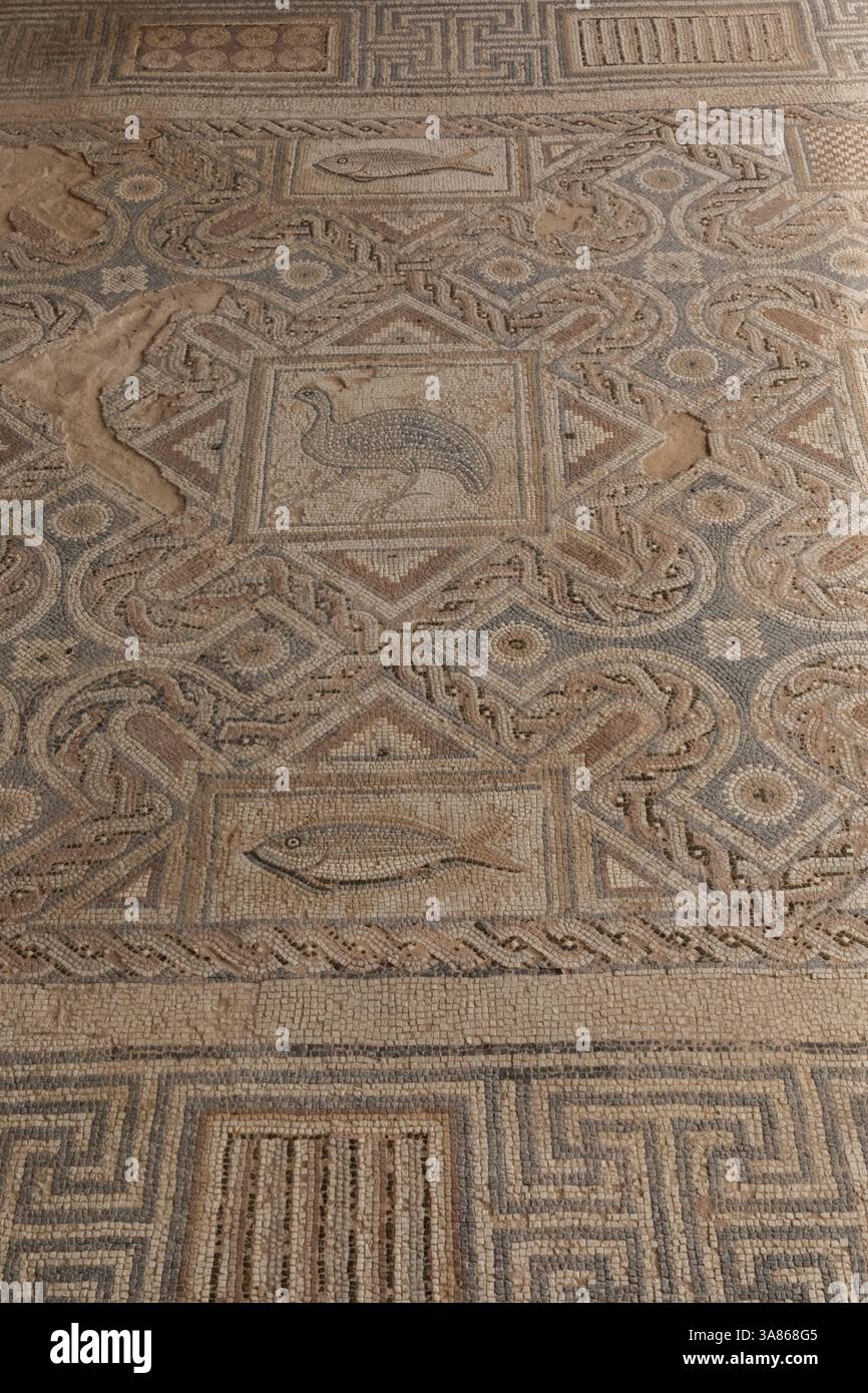 Zypern, Episkopi, Kourion, die archäologische Stätte von Kourion, Haus des Eustolius, Bodenmosaiken Stockfoto