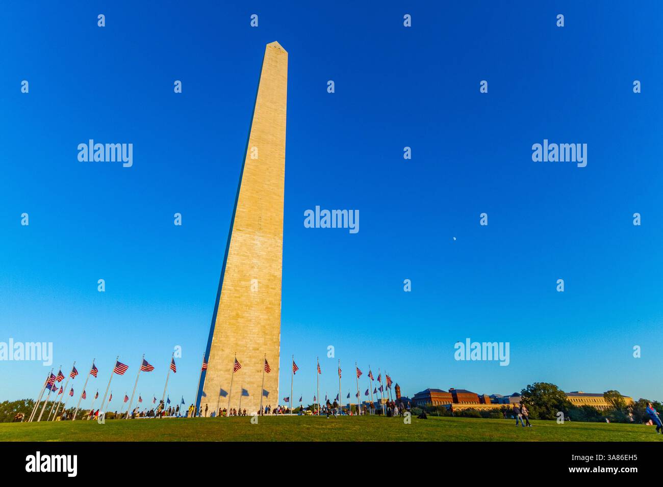 Amerikanische Flaggen rund um das Washington Monument in Washington, D.C., Vereinigte Staaten von Amerika Stockfoto