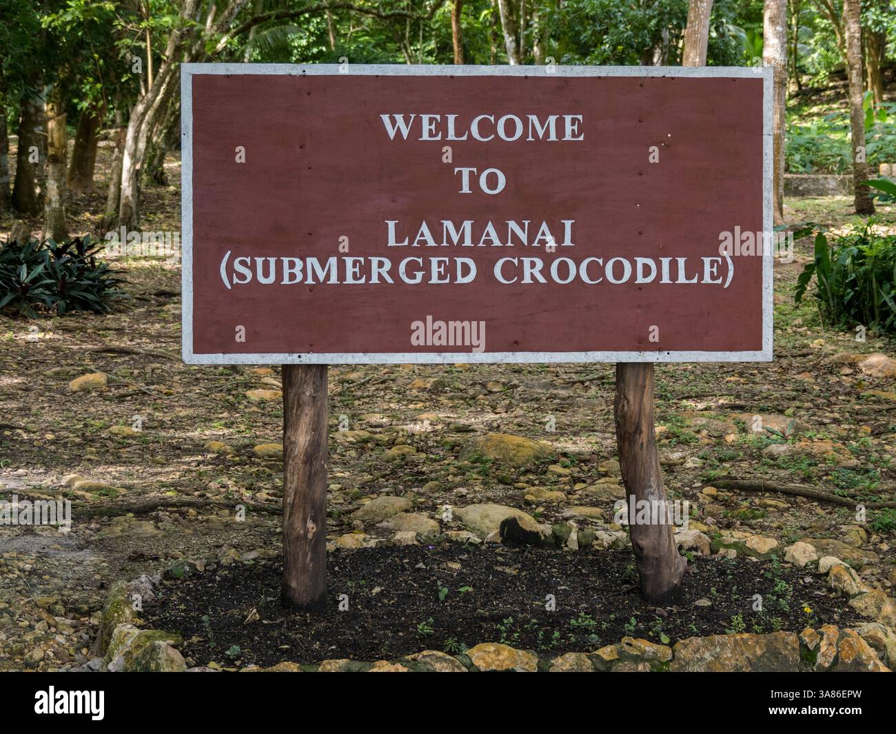 Begrüßungsschild an der mesoamerikanischen archäologischen Stätte Lamanai (untergetauchtes Krokodil), Belize Stockfoto