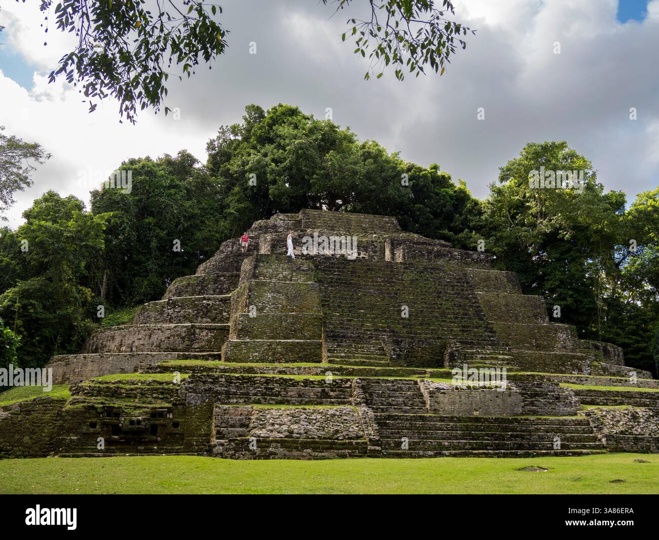 Der Jaguar Tempel an der mesoamerikanischen archäologischen Stätte Lamanai (untergetauchtes Krokodil), Belize Stockfoto