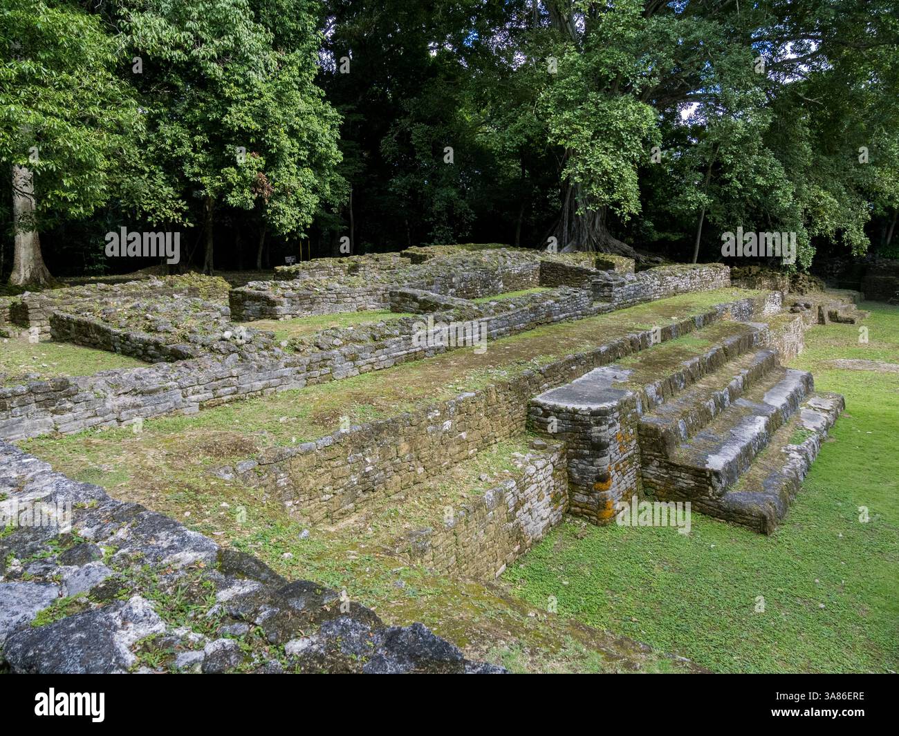 Der königliche Komplex an der mesoamerikanischen archäologischen Stätte Lamanai (untergetauchtes Krokodil), Belize Stockfoto