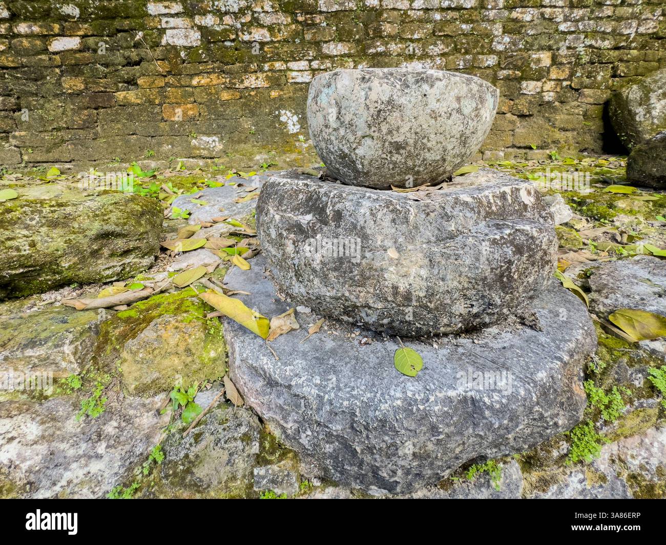 Der königliche Komplex an der mesoamerikanischen archäologischen Stätte Lamanai (untergetauchtes Krokodil), Belize Stockfoto