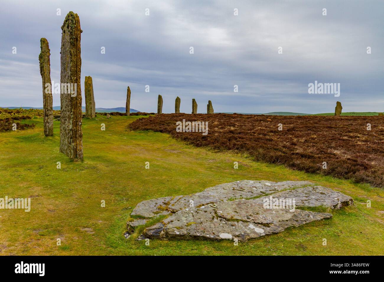 Ring of Brodgar, UNESCO, Orkney Islands, Schottland, Vereinigtes Königreich Stockfoto