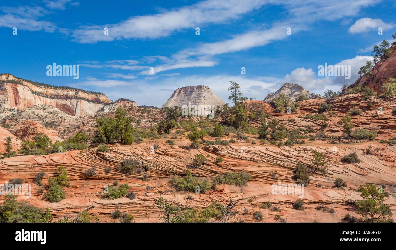 Schachbrett Mesa, ein 900 Meter hoher Sandsteingipfel, Kane County, Zion National Park, Utah, Vereinigte Staaten von Amerika Stockfoto
