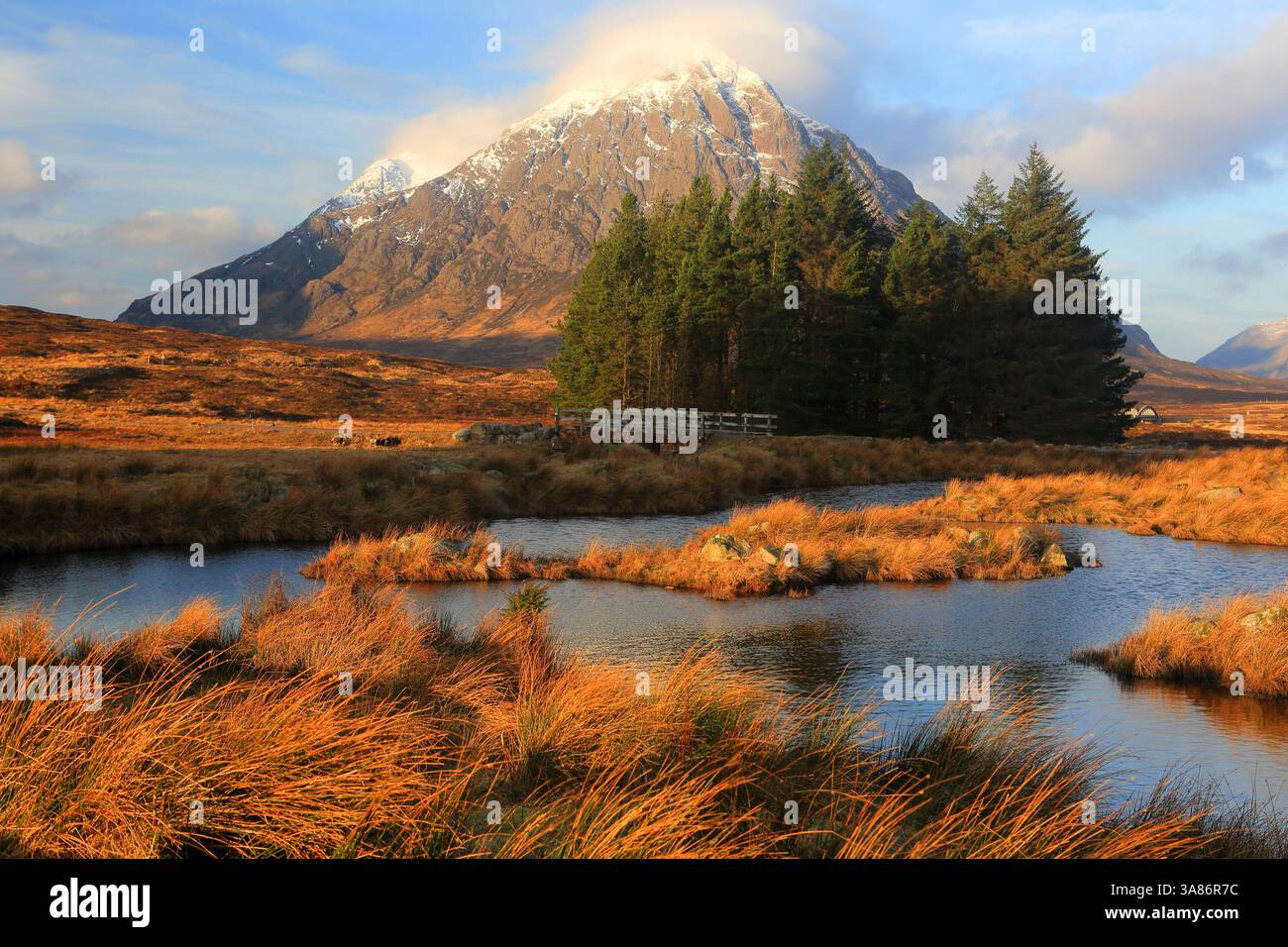 Buachaille Etive Mor, Rannoch Moor, Highland, Schottland, Vereinigtes Königreich Stockfoto