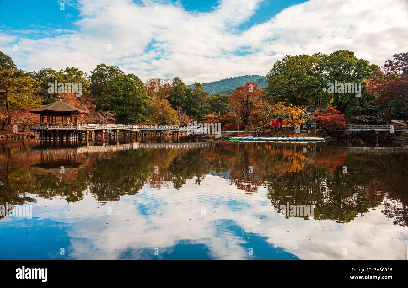 Blaue Ruderboote legten ordentlich in einem klaren reflektierenden Teich an, goldenen Herbstwald, Nara, Honshu, Japan Stockfoto