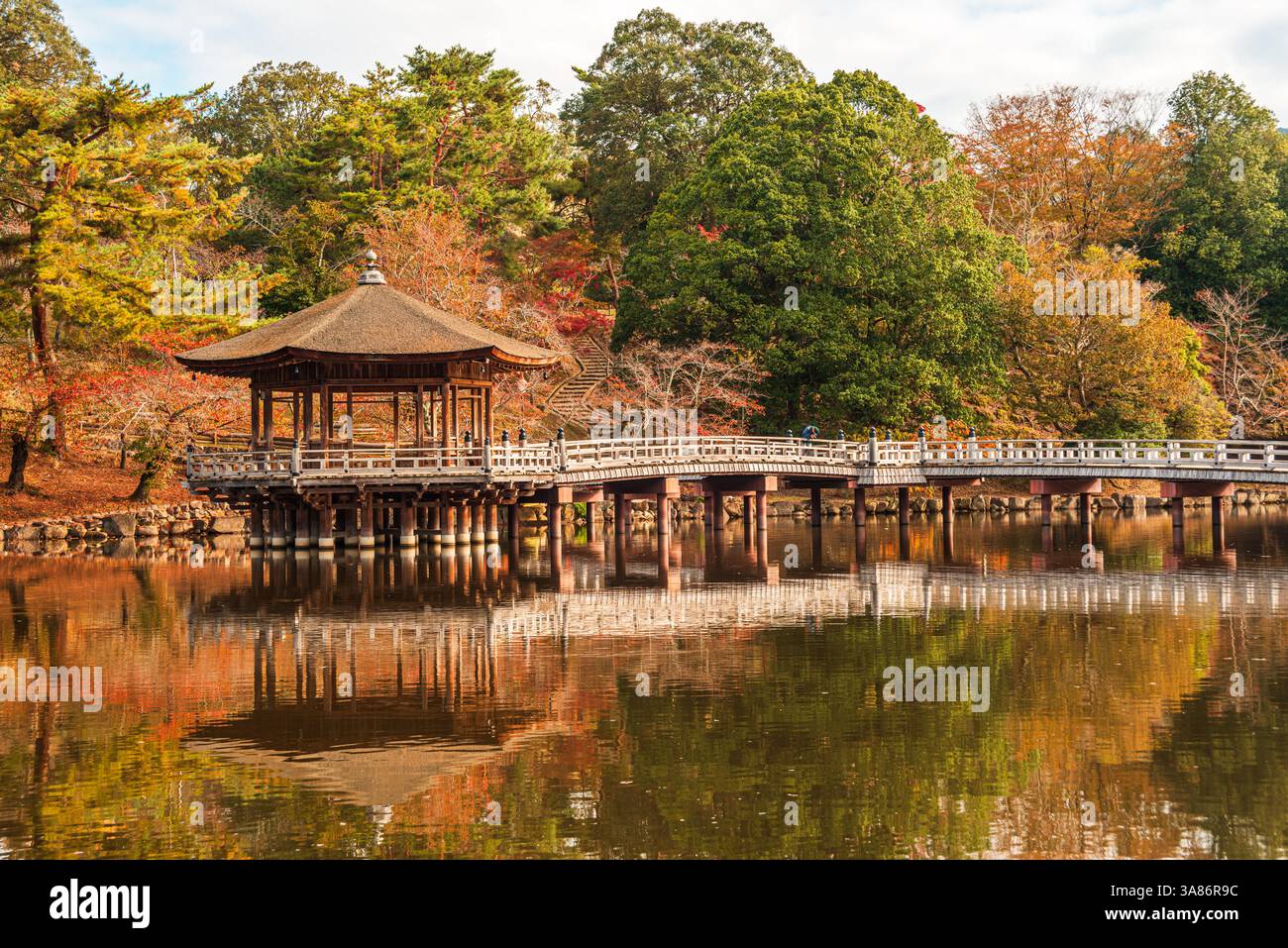 Ukimido Pavillon reflektiert in ruhigem Teich mit herbstlicher Umgebung, Nara, Honshu, Japan Stockfoto