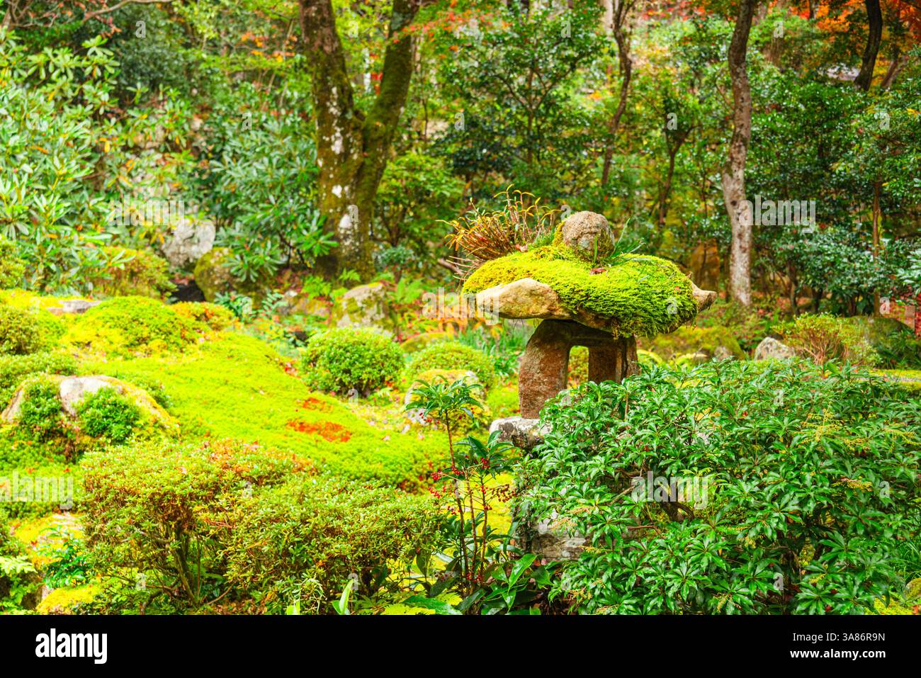 Ein üppiger Moosgarten mit komplizierten Landschaftsgestaltung und Steinelementen, Shuheki-en Garden, Ohara, Kyoto, Honshu, Japan Stockfoto