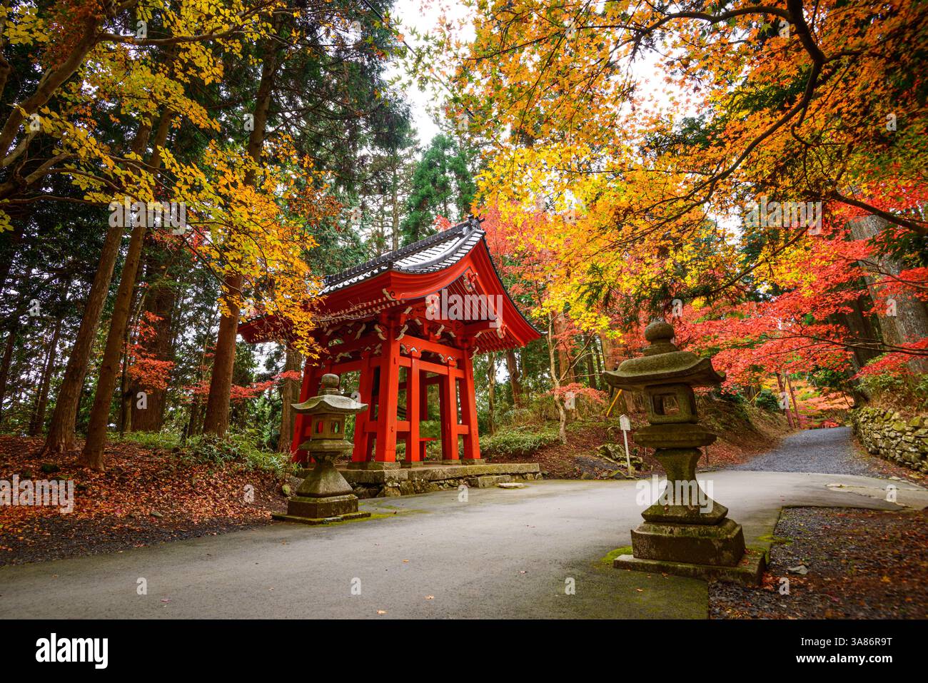 Traditioneller Shoro (Glockenturm) umgeben von lebhaftem Herbstlaub auf dem Berg Hiei, in der Nähe des historischen Enryaku-JI Tempels, Ohara, Kyoto, Honshu, Japan Stockfoto
