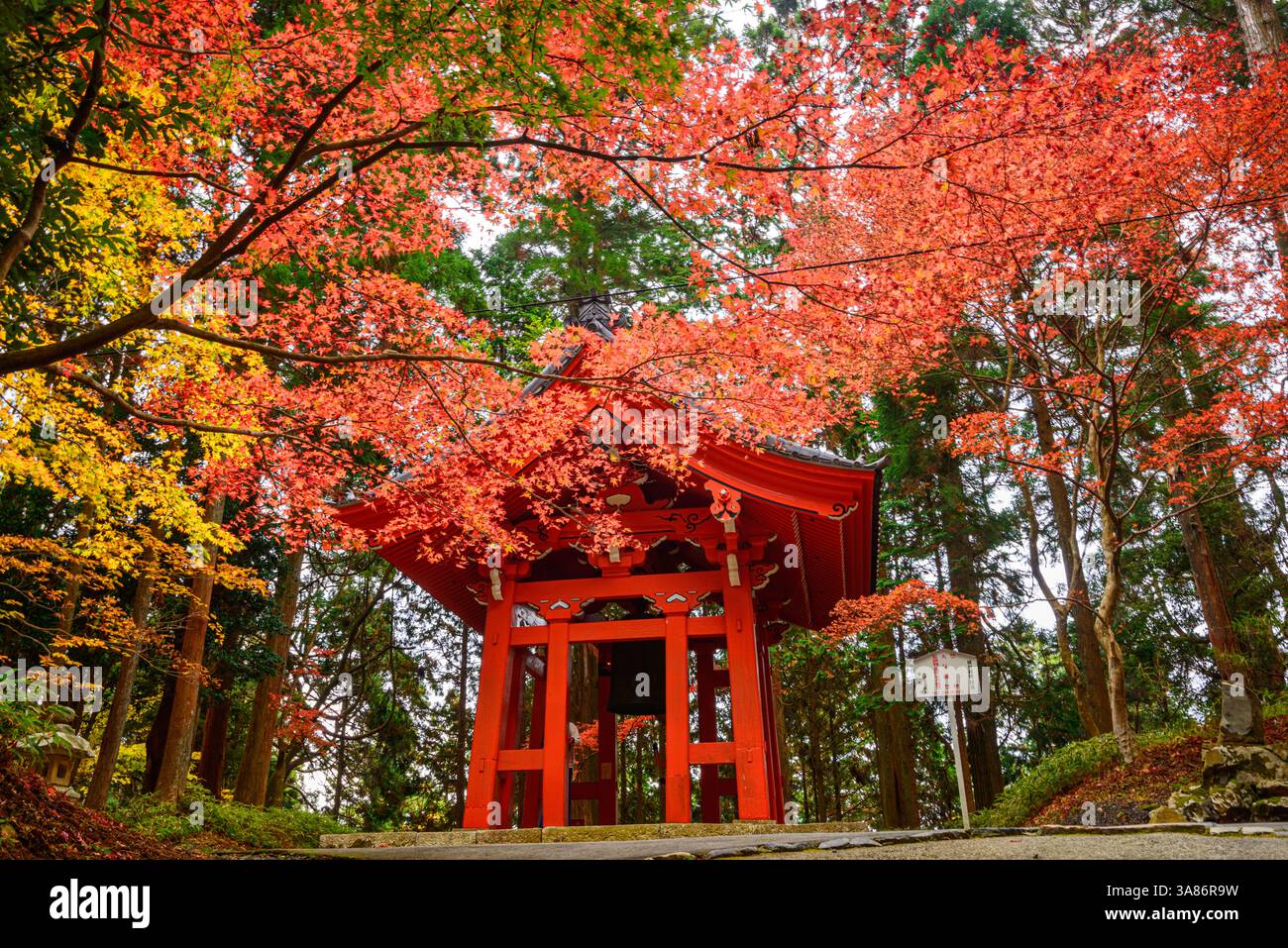 Berühmter roter Shoro (Glockenturm), eingerahmt von lebhaften Herbstblättern auf dem Berg Hiei, in der Nähe des historischen Enryaku-JI-Tempels in Ohara, Honshu, Japan Stockfoto