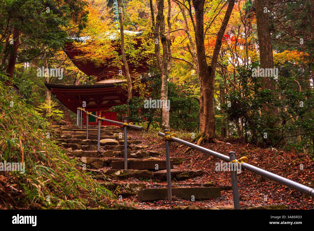 Treppe zur Nemoto Nyoho Shinto-Pagode auf dem heiligen Berg Hiei (Hiei San), Konpon-Nyoho-Turm, Hieizan Enryaku-JI Tempel, Yokawa, Honshu, Japan Stockfoto