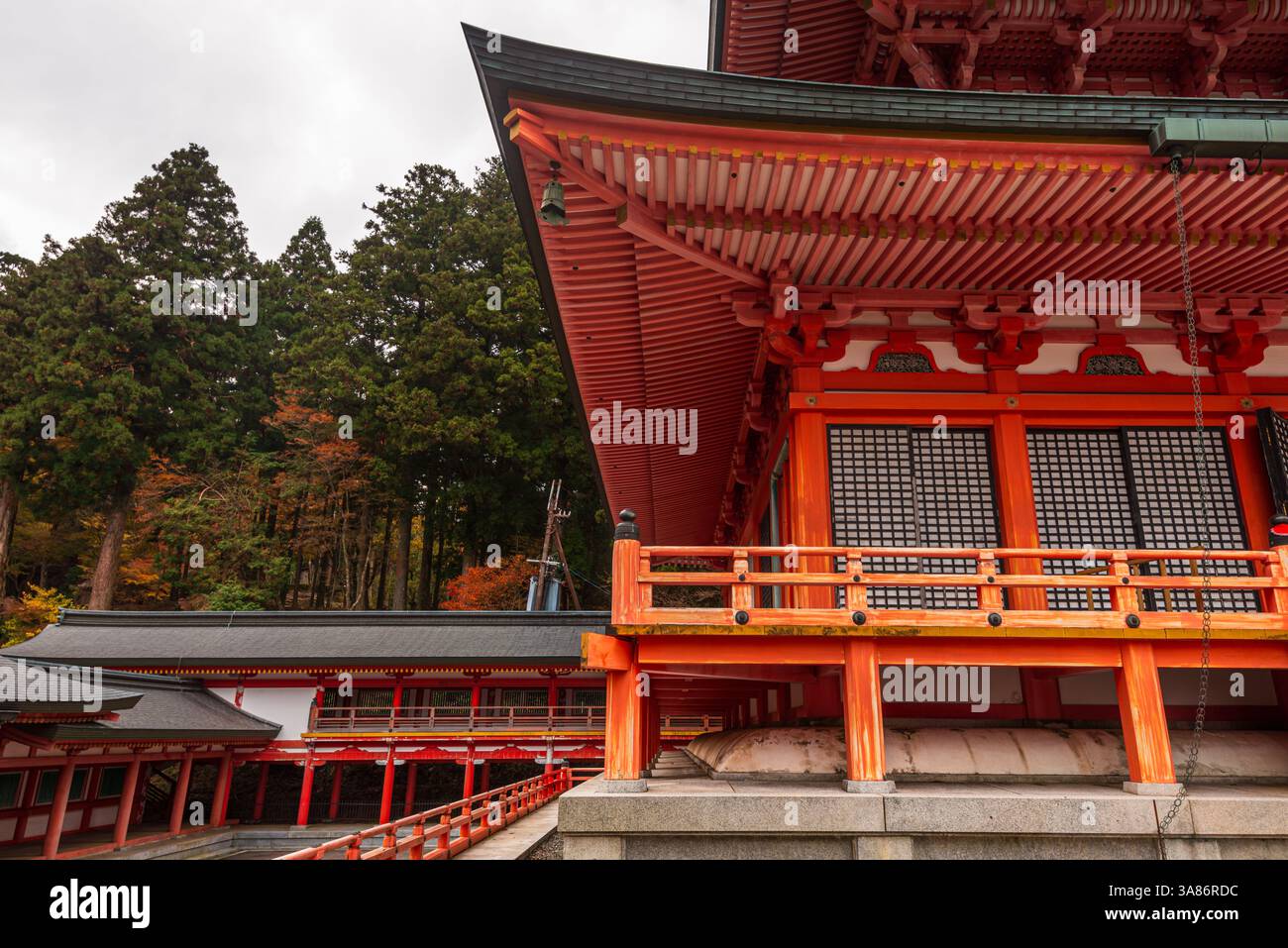 Enryakuji-Tempel des Mount Hiei, heiliger Berg, in der Nähe von Kyoto, Honshu, Japan Stockfoto