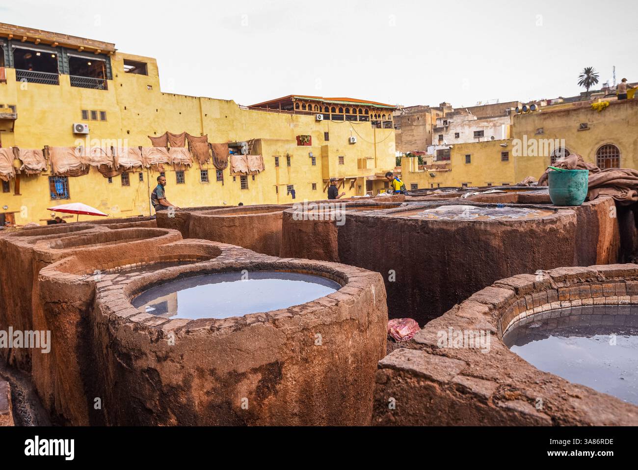 Gerberarbeiter, die in einer traditionellen Ledergerberei in Fes, Marokko, Farbgruben beaufsichtigen Stockfoto