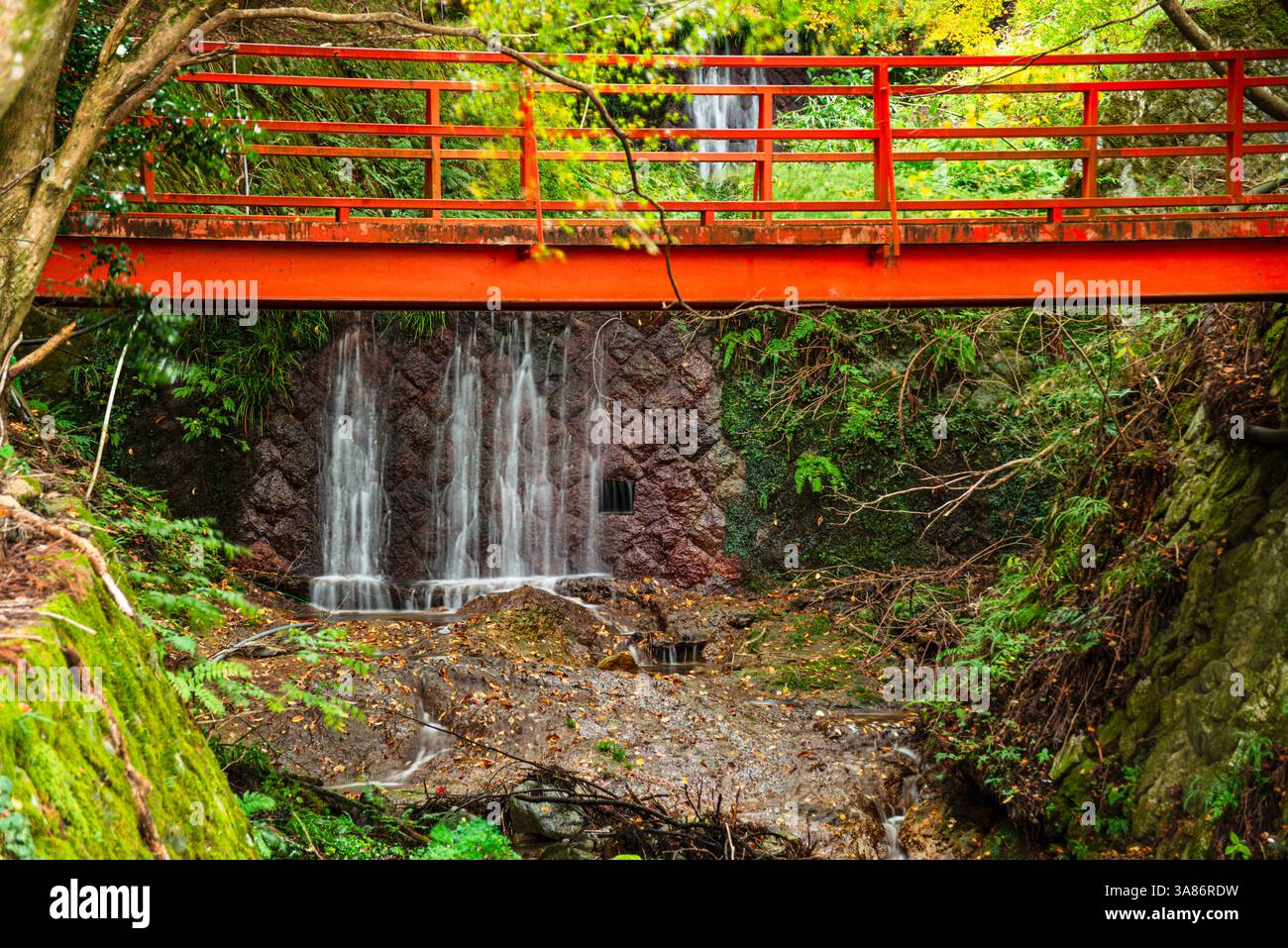 Kaskadierender Wasserfall unter einer leuchtend roten Brücke, umgeben von moosbedeckten Felsen und üppigem Grün in einem friedlichen Wald, Kyoto, Honshu, Japan Stockfoto