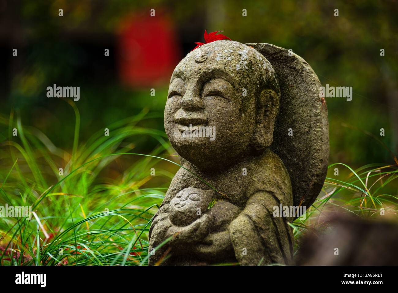 Eine fröhliche Warabe-Jizo-Statue, die ein Kind wiegt, verziert mit einem roten Ahornblatt, inmitten von lebhaftem Herbstgras und Blättern, Kyoto, Honshu, Japan Stockfoto