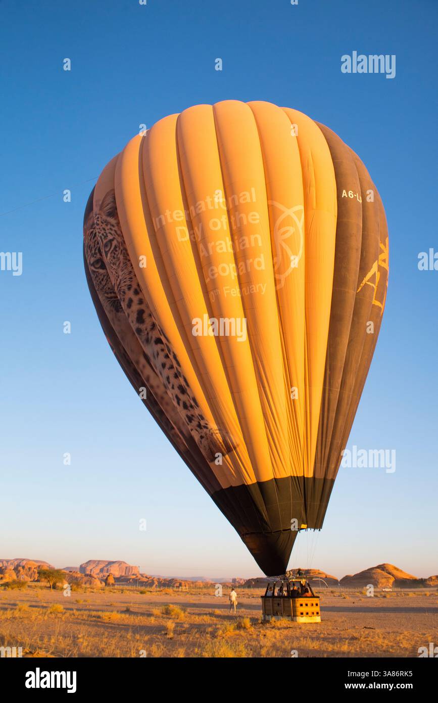 Ballonentlüftung nach einem Heißluftballonflug über Hegra mit Hero Balloon Flights Saudi Operator, Alula, Provinz Medina, Saudi Arabien Stockfoto