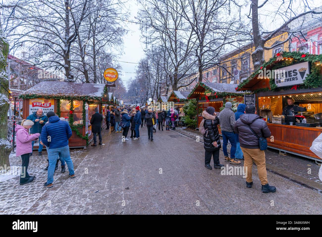 Blick auf den Weihnachtsmarkt in der Abenddämmerung, Stortingsparken, Oslo, Norwegen, Skandinavien Stockfoto