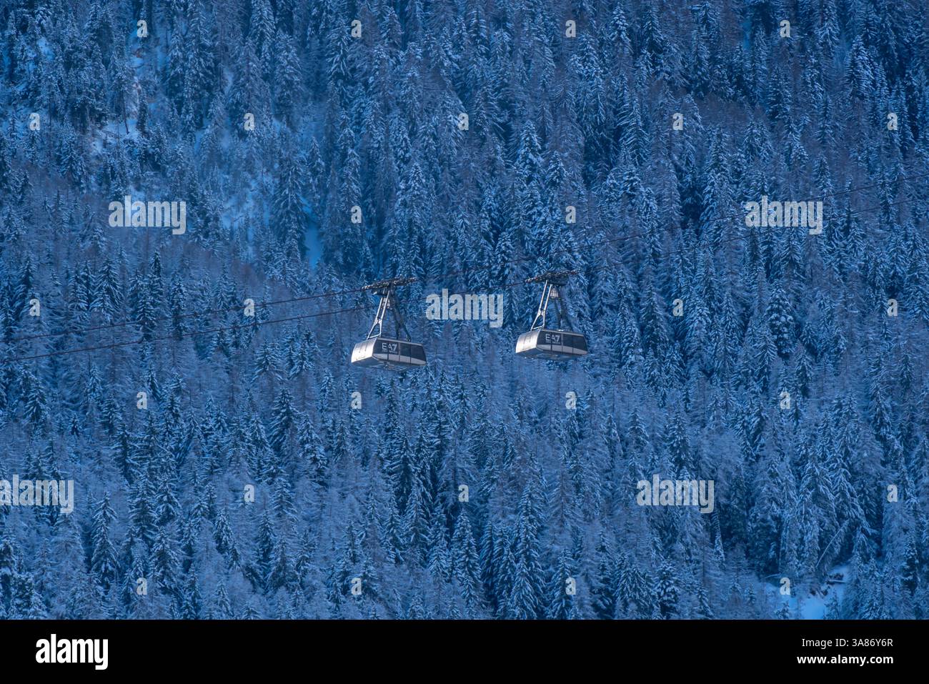 Schneebedeckte Bäume und Seilbahnen von Courmayeur nach Plan Checrouit im Winter von Courmayeur aus gesehen, Courmayeur, Aostatal, italienische Alpen, Italien Stockfoto
