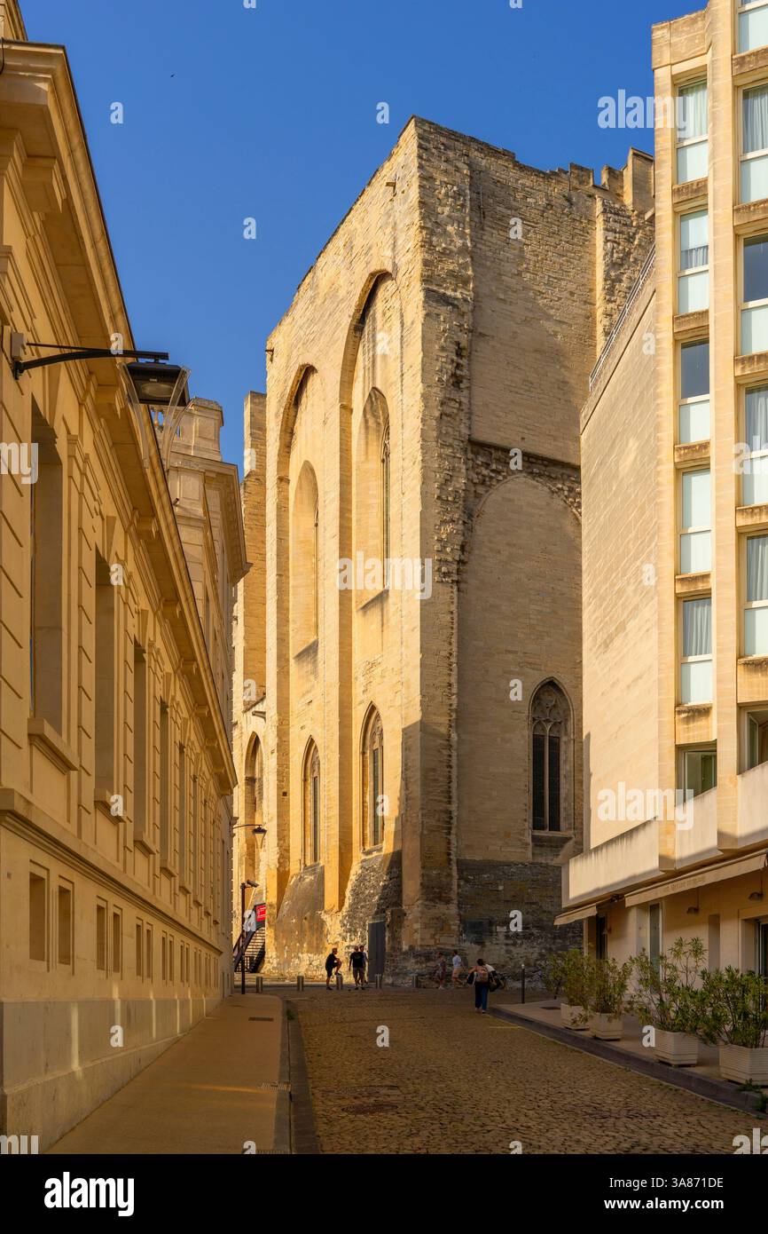 Avignon, Rhonetal, Grand Avignon, Vaucluse, Provence-Alpes-Cote d'Azur, Frankreich Stockfoto