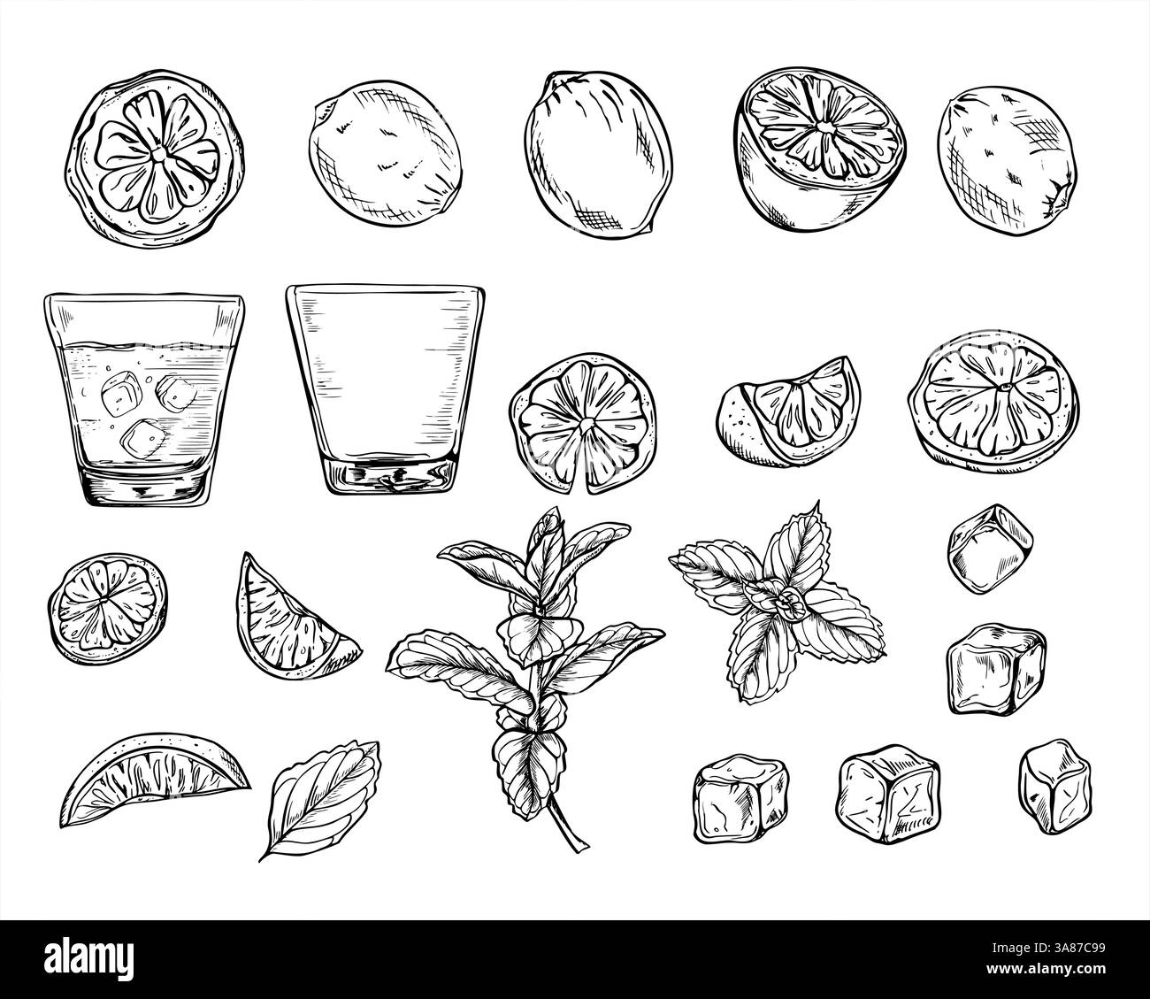 Zitrusscheiben, kaltes Getränk mit Eis, Trinkglas, Eiswürfel und Minzzweig Set Vektor Illustration gemalt von schwarzen Tinten. Einfarbige Zitrone Stock Vektor