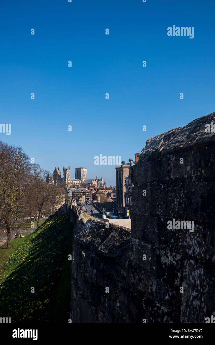 Die Stadtmauern an einem sonnigen Tag in York, Großbritannien, mit dem Yorker Münster im Hintergrund Stockfoto