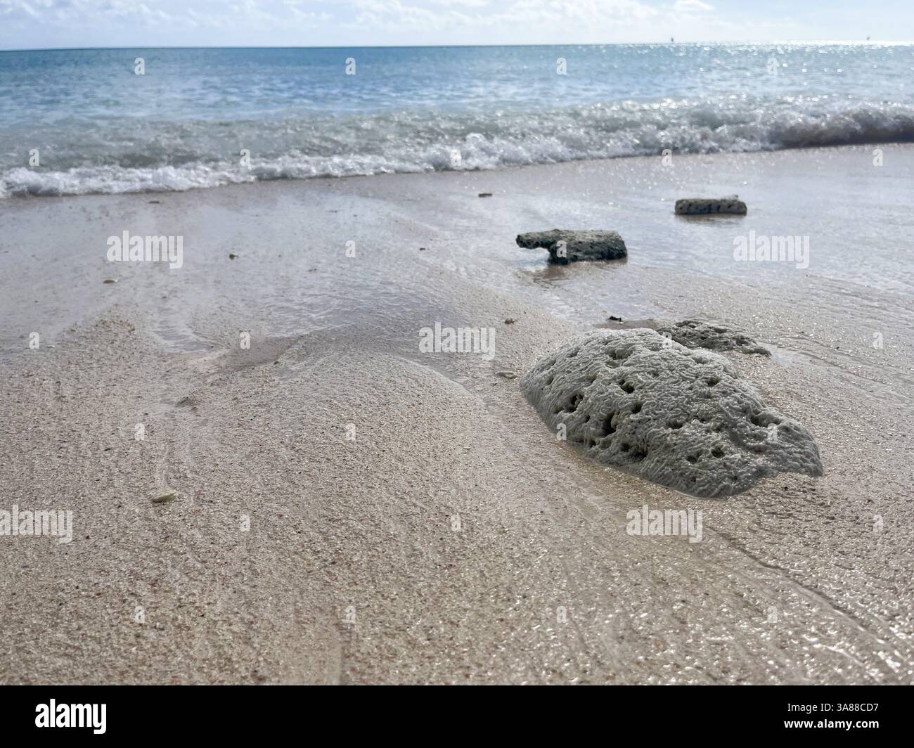 Wellen Rollen über ein geschwemmtes Stück Gehirnkoralle am Welches Beach, Barbados. Stockfoto