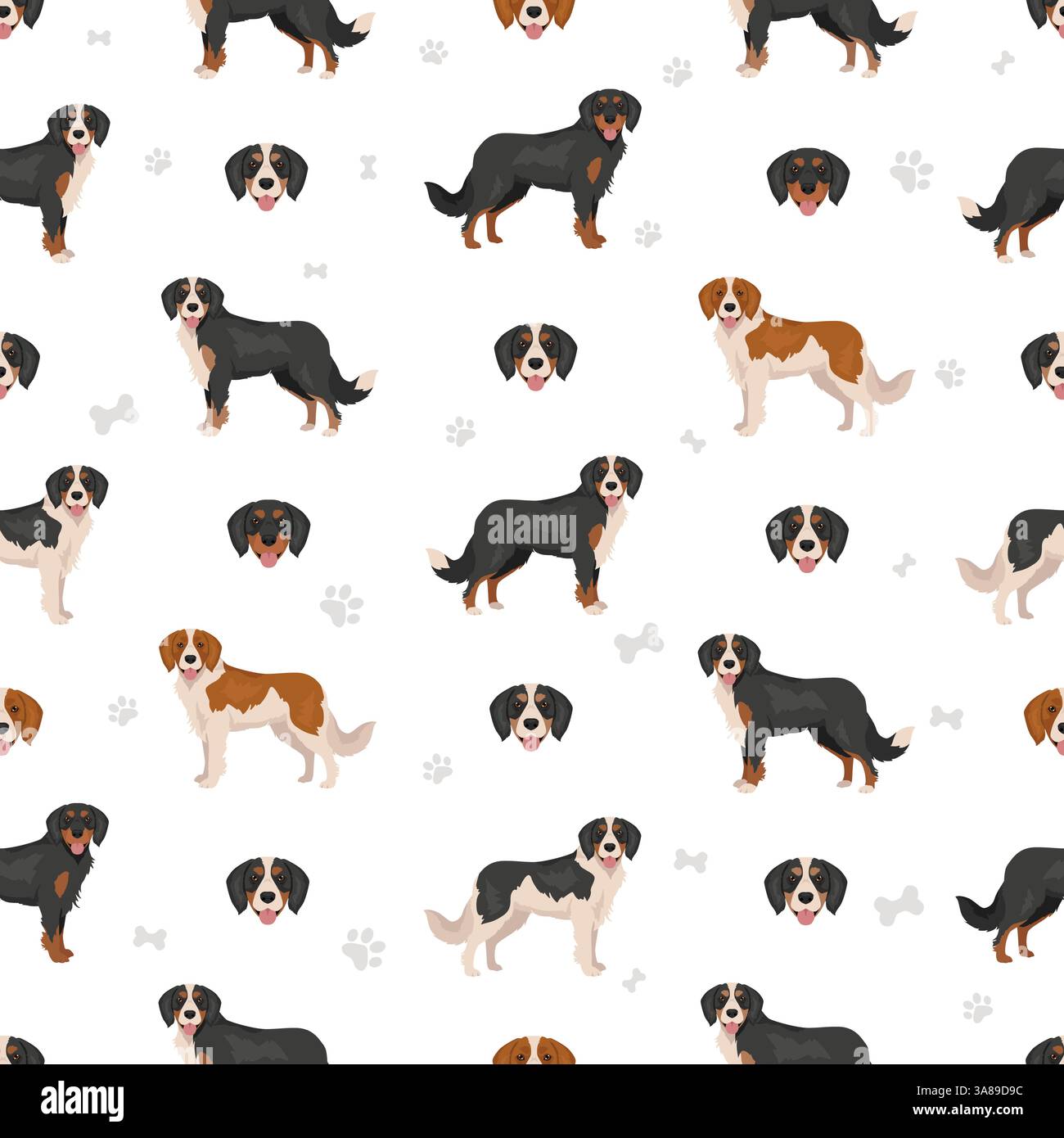 Mini Berner Clipart. Berner Sennenhund - Kavalier King Charles Spaniel Mix. Verschiedene Fellfarben Set. Vektorabbildung Stock Vektor