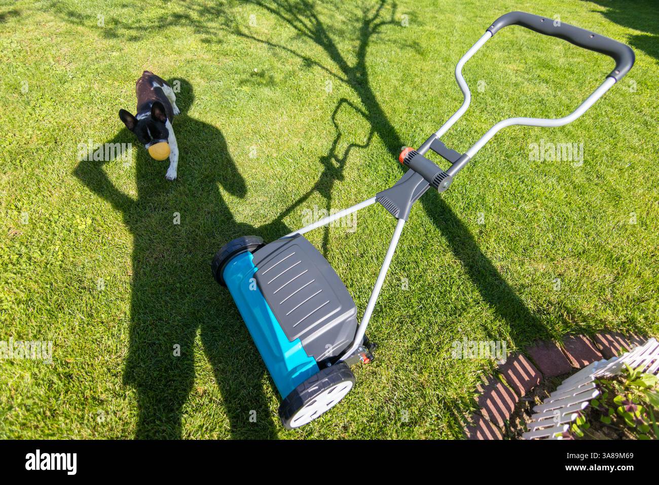 Schatten einer Person, die an einem sonnigen Tag in der Nähe eines Rasenmähers auf einem grünen Rasen steht, was auf Gartenpflege und Aktivitäten im Freien hindeutet. Stockfoto