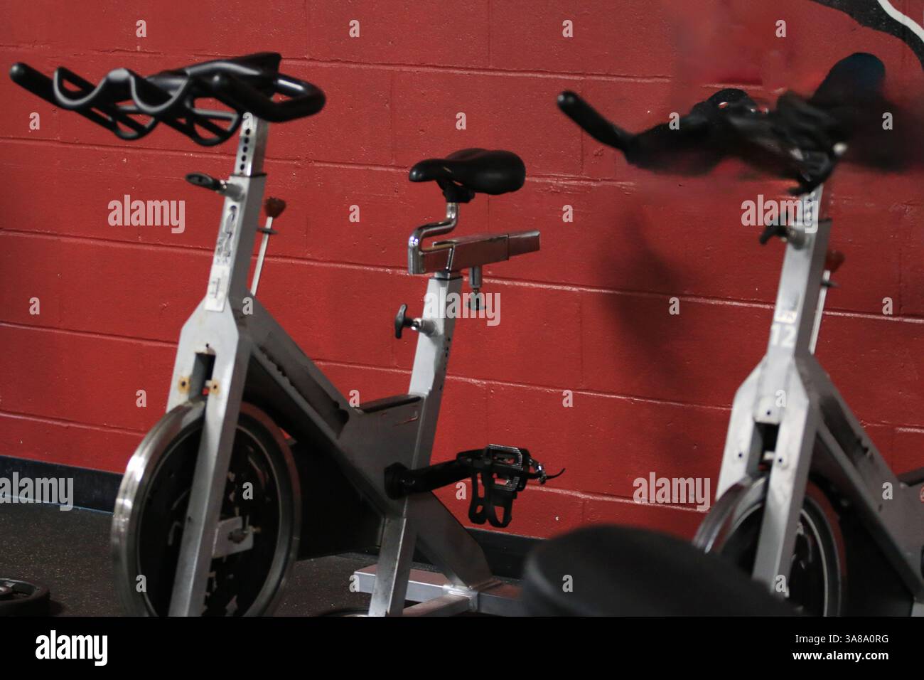 Zwei Indoor-Radfahrräder, die in einem Fitnessstudio an einer roten Wand angebracht sind. Stockfoto