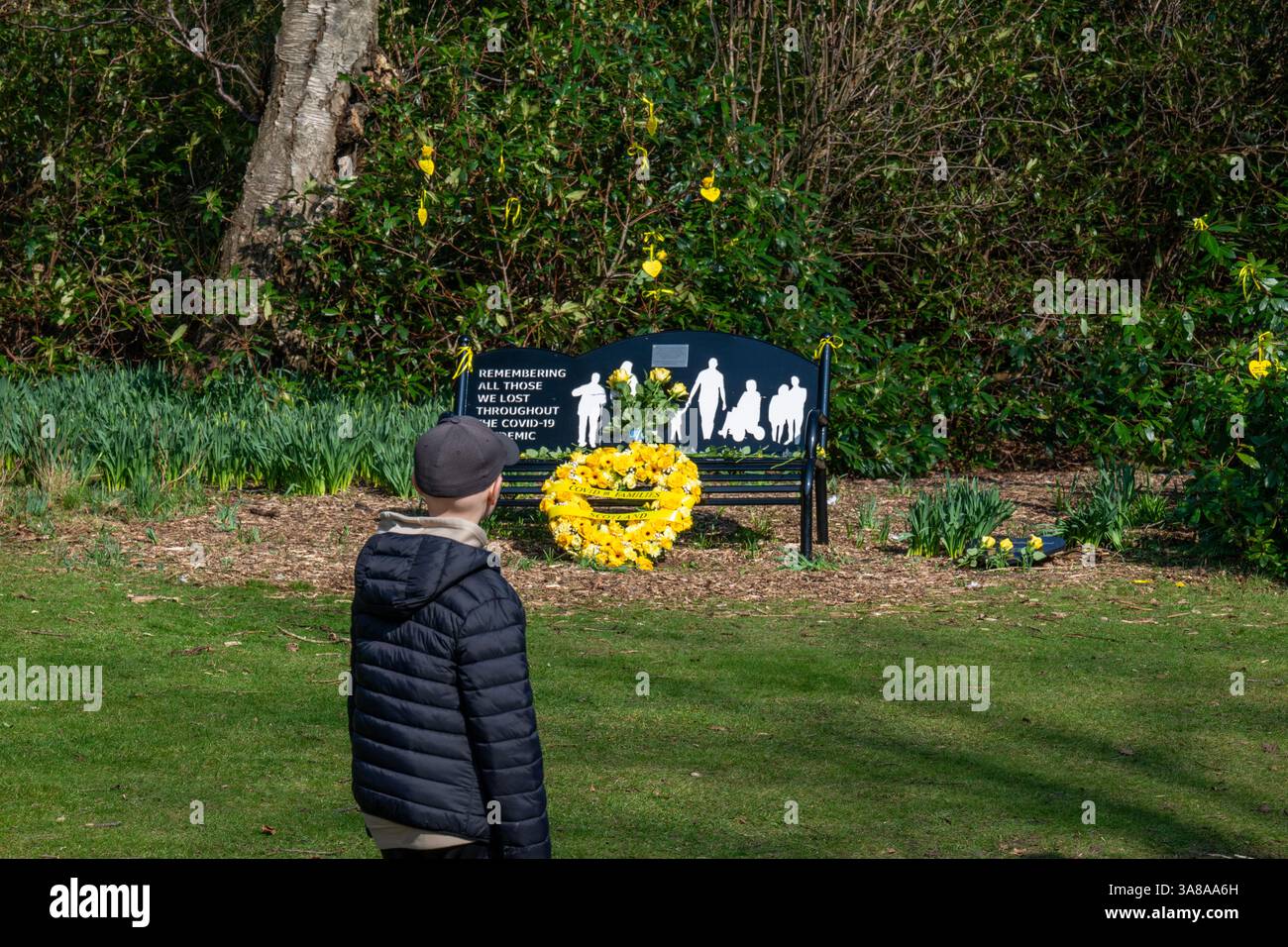 COVID 19-Gedenkbank im Pollok Country Park. Tribut an diejenigen, die durch die COVID-19-Pandemie verloren gegangen sind . Glasgow, Schottland Stockfoto