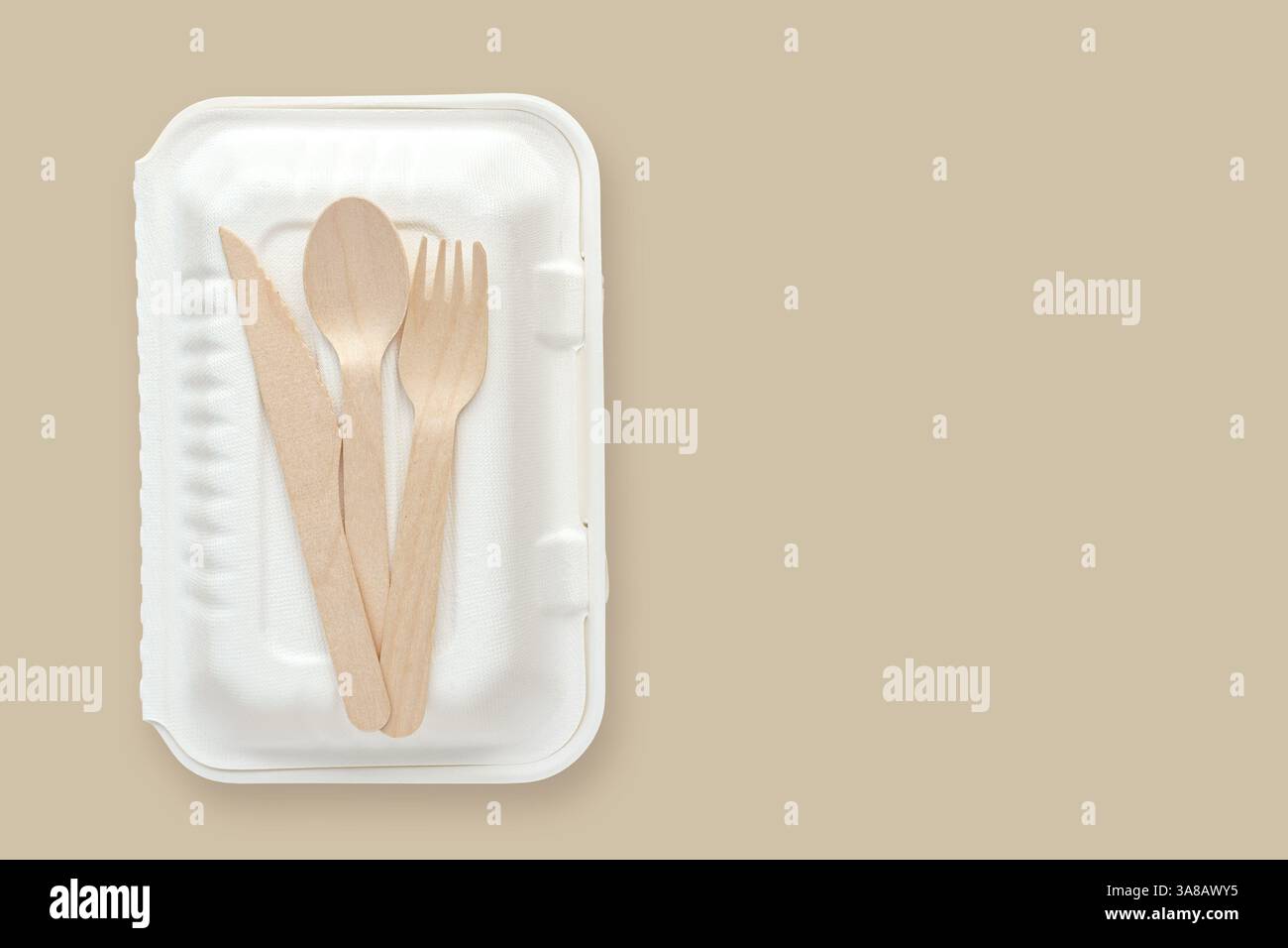 Biologisch abbaubarer Lebensmittelbehälter und Holzbesteck aus Bambus mit Kopierraum Stockfoto