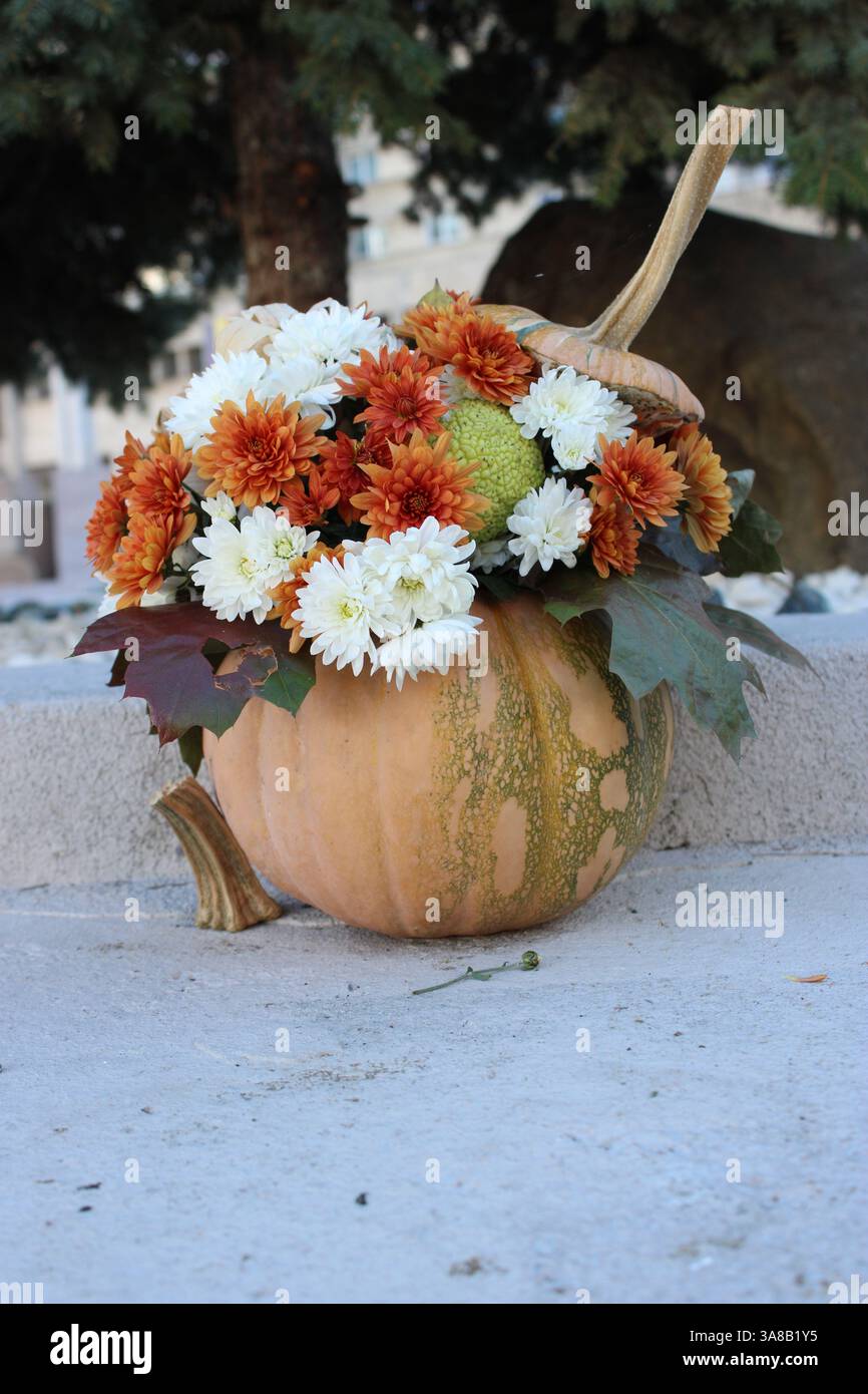 zu verkaufen Stockfoto
