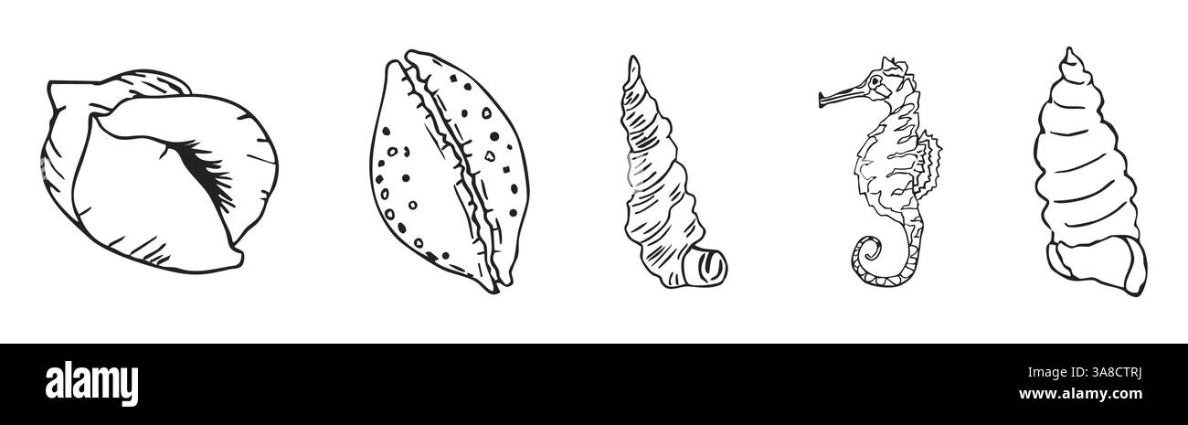Muschelskizze Ozean Leben Hand gezeichnete Illustration. Skizzieren Sie Elemente des modernen Stils, des Sommers, des Urlaubs, des Stranddesigns. Korallen und Algen, Seesterne. . Vektorabbildung Stock Vektor