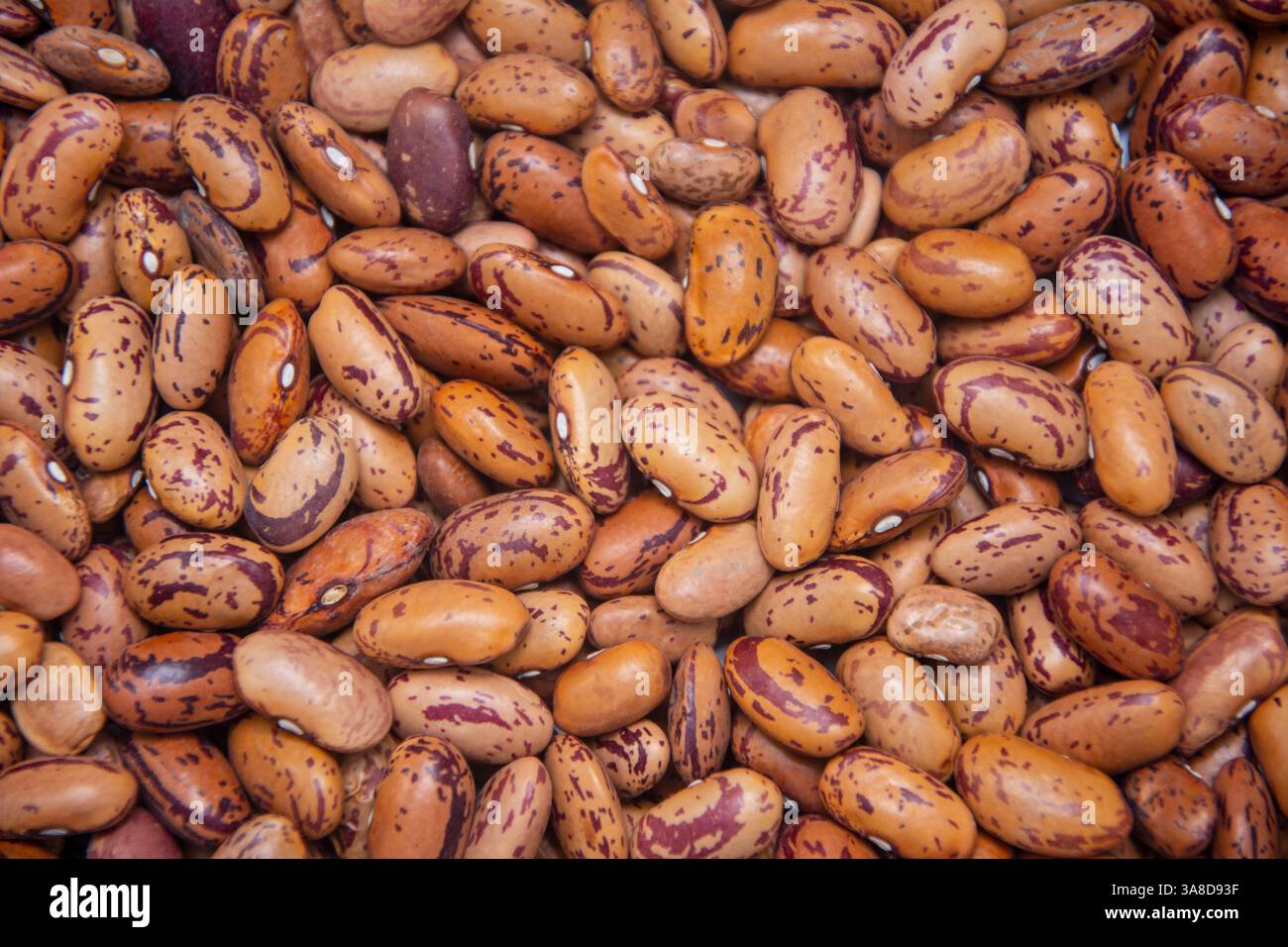 Hintergrundbild mit Kidneybohnen bedeckt Stockfoto