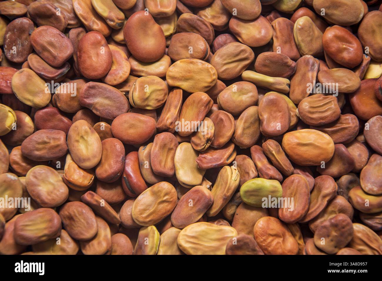Hintergrundbild bedeckt mit getrockneten, breiten Bohnen Stockfoto