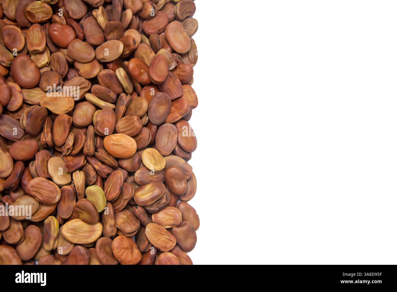 Getrocknete breite Bohnenhalde mit weißem Kopierraum Stockfoto