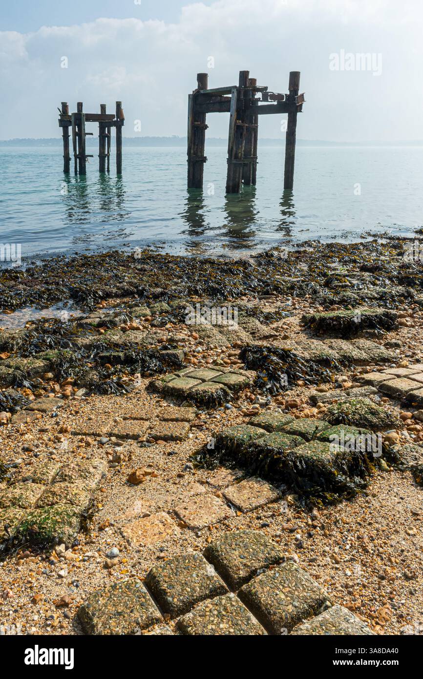 Die Reste von Strukturen aufgerufen, die Delphine im Meer weg von Lepe Strand, Teil der pierhead auf D-Tag im 2. Weltkrieg, Hampshire, Großbritannien Stockfoto