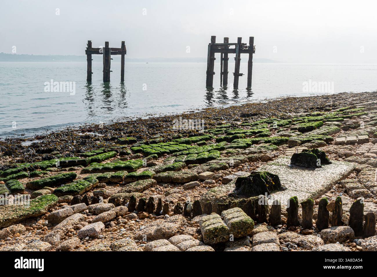 Die Reste von Strukturen aufgerufen, die Delphine im Meer weg von Lepe Strand, Teil der pierhead auf D-Tag im 2. Weltkrieg, Hampshire, Großbritannien Stockfoto