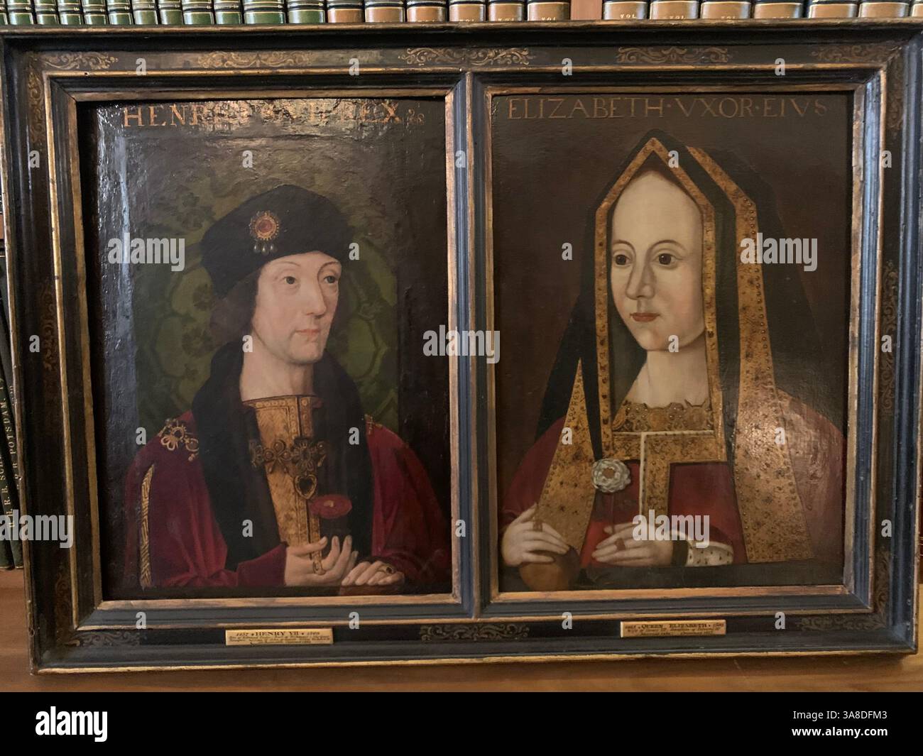 Anglesey Abbey Cambridgeshire UK England Halle Hund Lichter Stand Bilder Teppiche Teppich Dekorationen Bibliothek Elizabeth von York Henry V11 - Smartphone-aufgenommenes Stockfoto