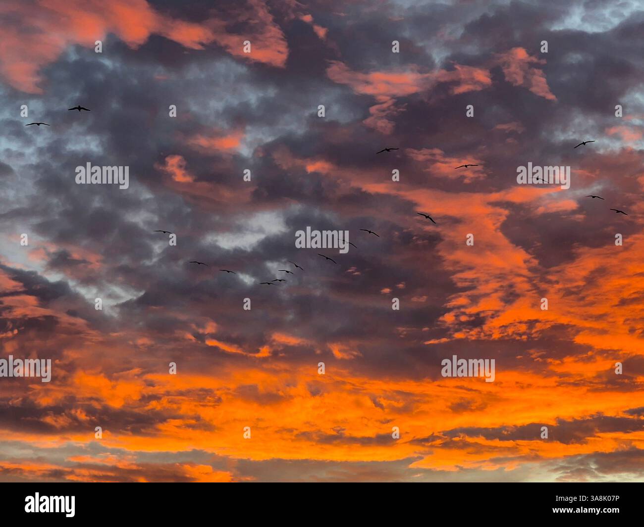 Feuriger Sonnenuntergang. Unglaubliche Farben der Natur. Stockfoto