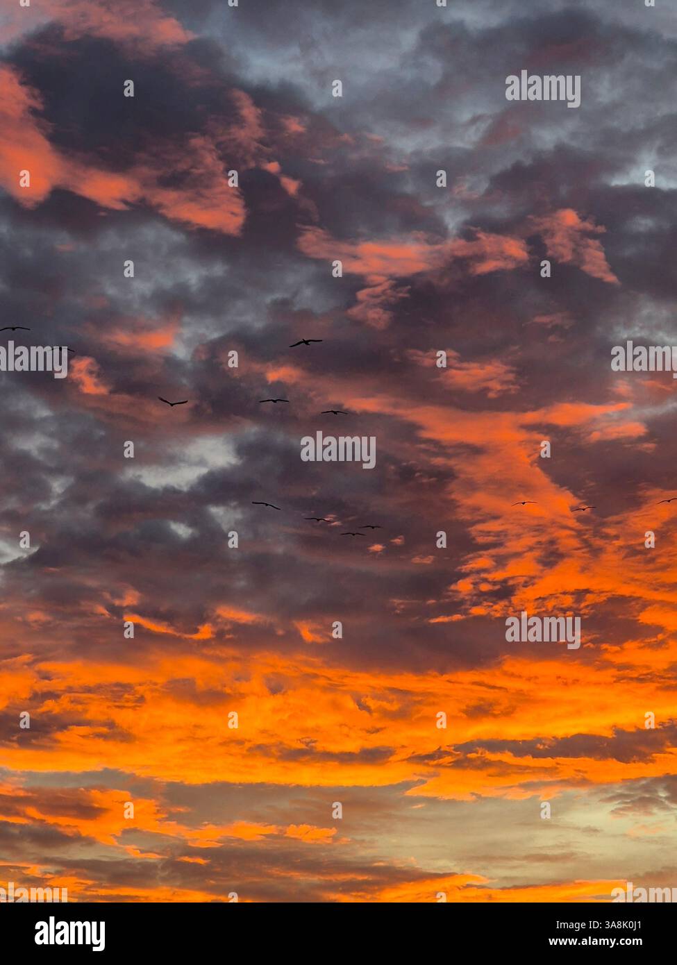 Feuriger Sonnenuntergang. Unglaubliche Farben der Natur. Stockfoto