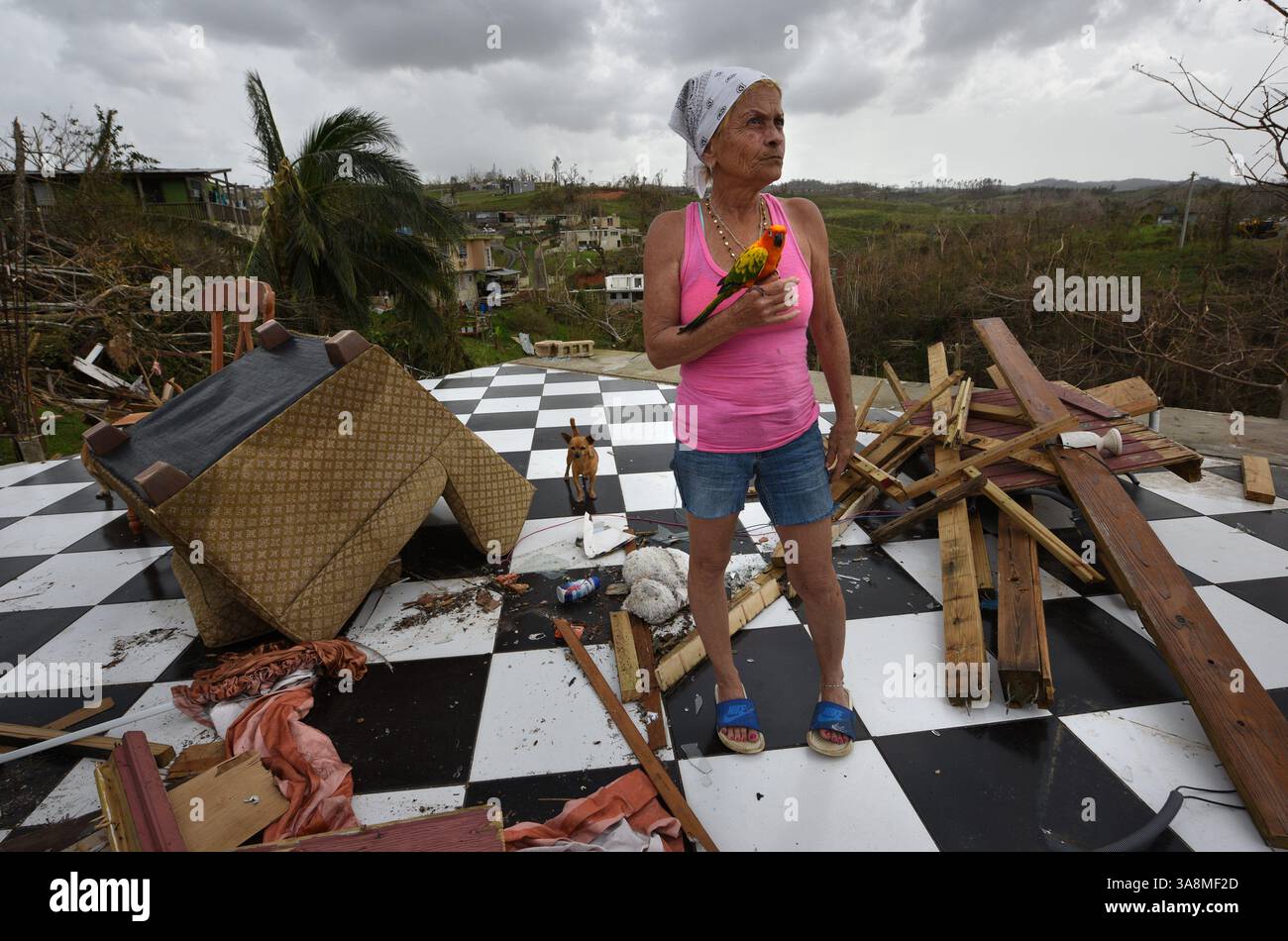 27. September 2017 – Corozal, Puerto Rico – die Überlebende des Hurrikans Maria IRMA MALDANADO hält ihren Vogel SUSSURY fest, während sie nach dem verheerenden Kategorie-5-Hurrikan, der Puerto Rico am 20. September 2017 mit Spitzenwinden von 250 km/h (175 mph) heimgesucht hat. Der zehntintensivste Atlantiksturm seit der Aufzeichnung verwüstete die Insel 48 Stunden lang. Der Commonwealth von Puerto Rico ist ein Gebiet der Vereinigten Staaten von Amerika, das sich im Nordosten der Karibik befindet. (Bild: © Carol Guzy/ZUMA Wire) Stockfoto