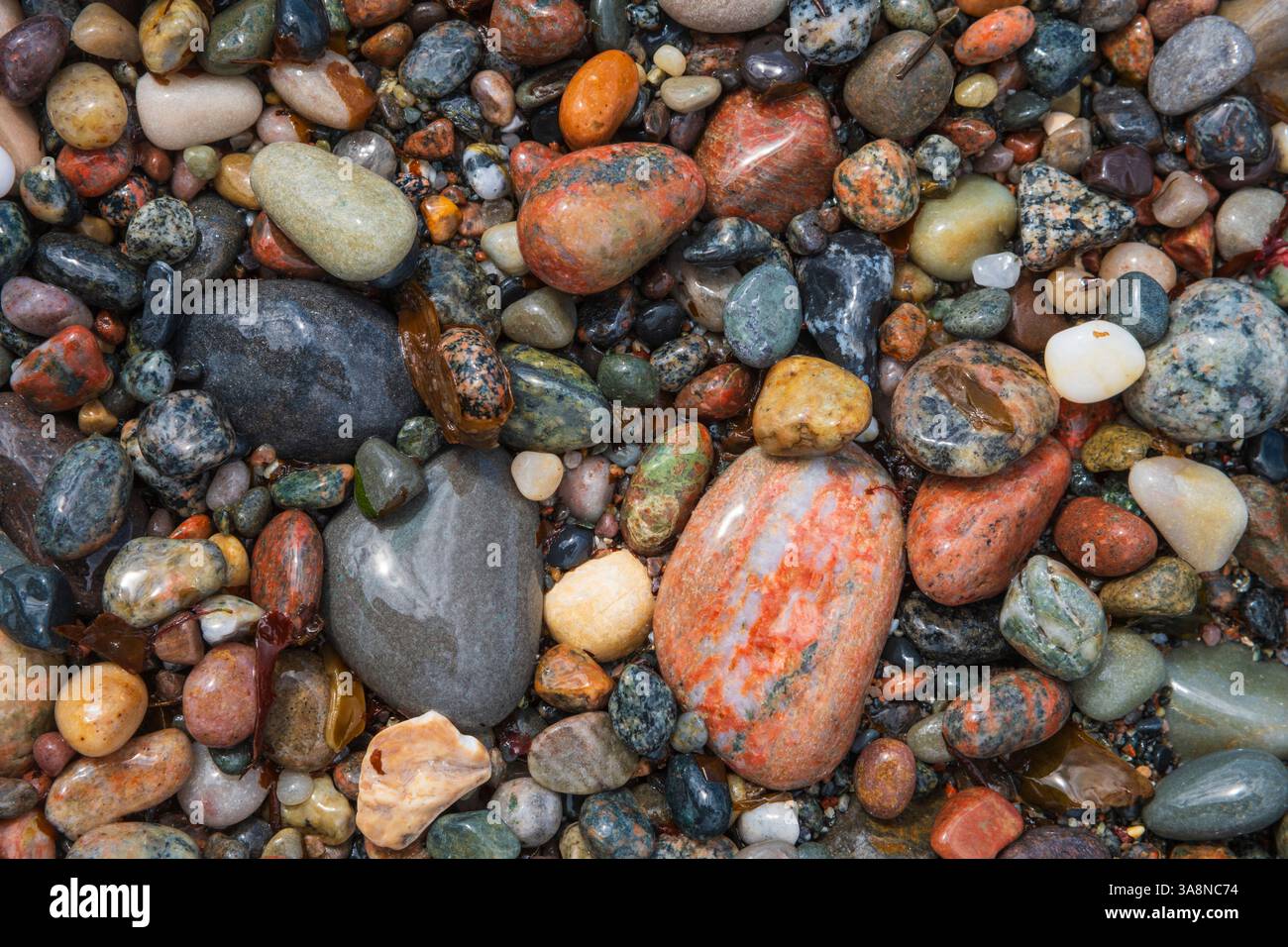 Farbenfrohe Kieselsteine, Bucht in der Nähe von Hynish, Isle of Tiree, Innere Hebriden, Schottland Stockfoto