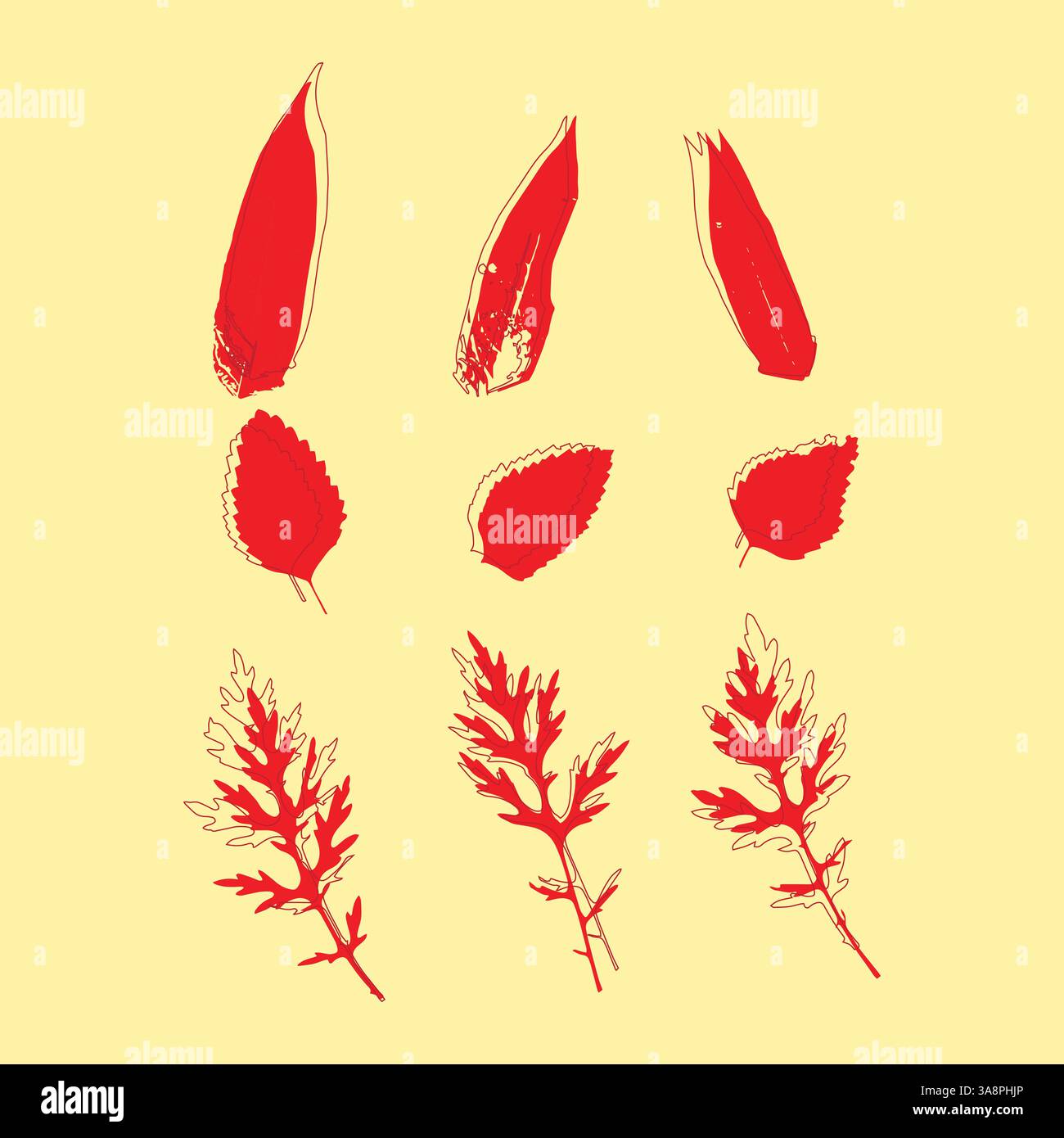 Rotes botanisches Blatt Vektor-Set auf gelbem Hintergrund – Natur-inspirierte digitale Illustration Stock Vektor